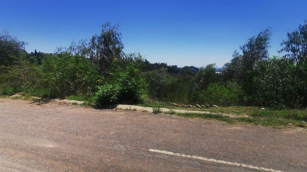 1571 m² Land available in Waterkloof Heights photo number 6