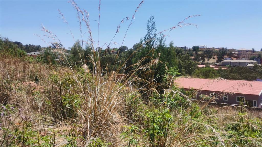 1571 m² Land available in Waterkloof Heights photo number 1