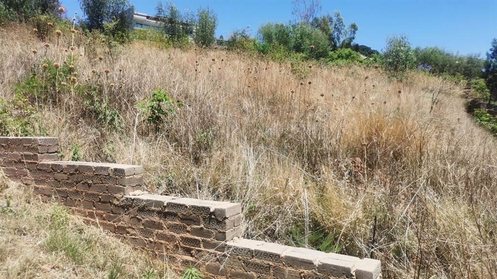 1571 m² Land available in Waterkloof Heights photo number 9