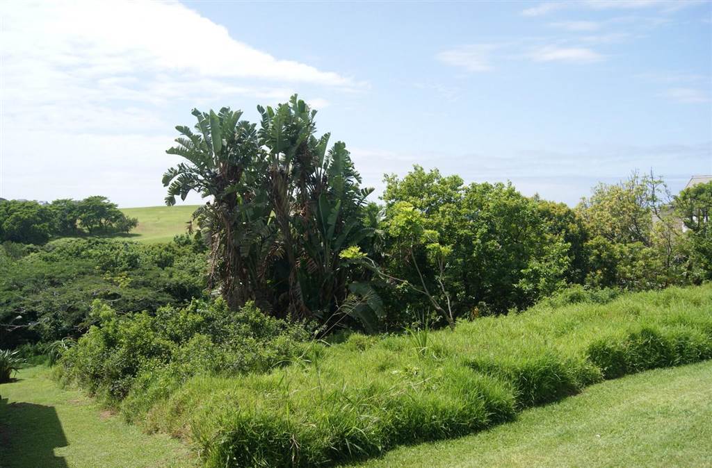 736 m² Land available in Princes Grant Golf Estate photo number 5