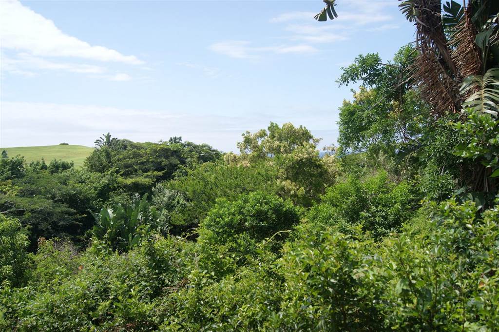 736 m² Land available in Princes Grant Golf Estate photo number 11