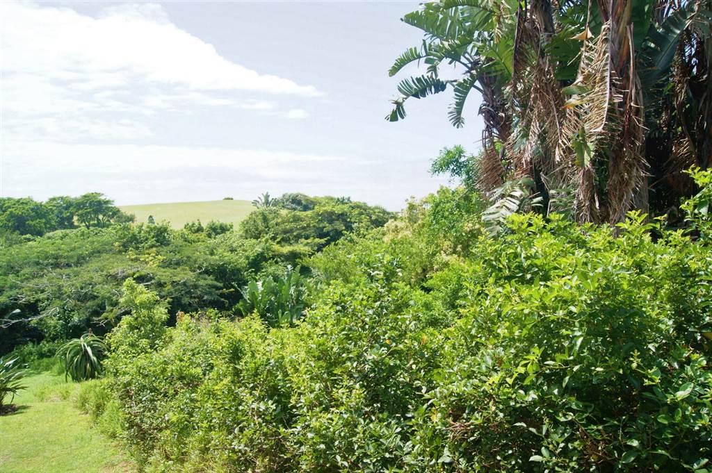 736 m² Land available in Princes Grant Golf Estate photo number 7