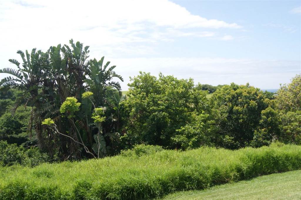 736 m² Land available in Princes Grant Golf Estate photo number 12