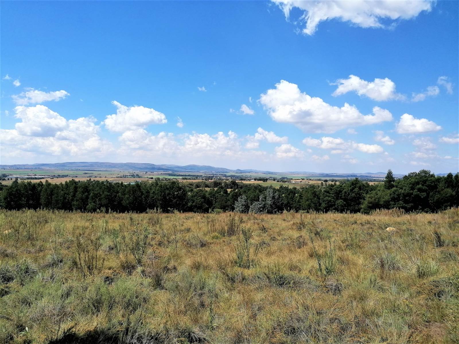 2 ha Land available in Blue Saddle Ranches photo number 5