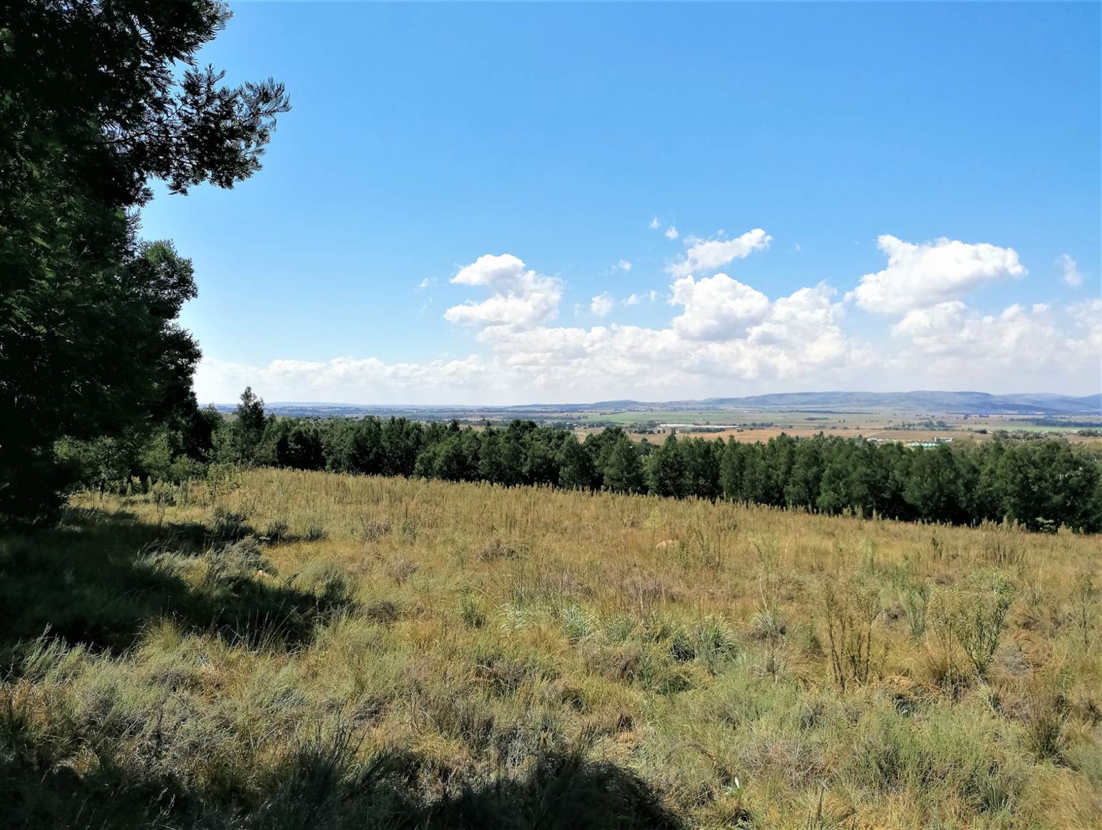 2 ha Land available in Blue Saddle Ranches photo number 4