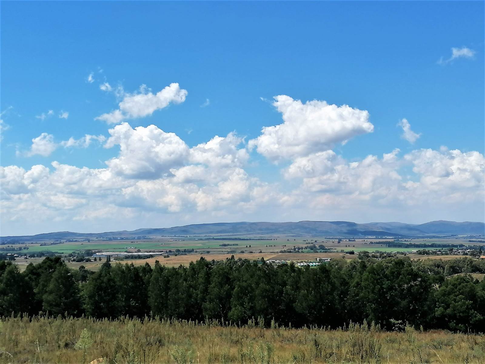 2 ha Land available in Blue Saddle Ranches photo number 1
