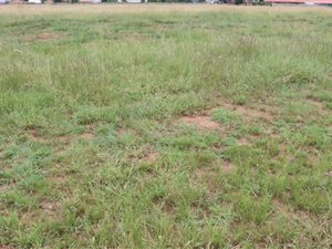 1108 m² Land available in Riversdale