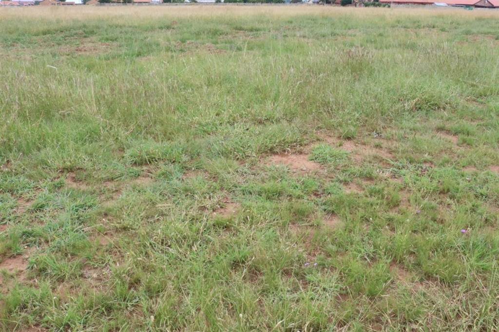 1108 m² Land available in Riversdale photo number 1
