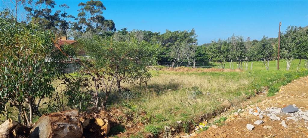 761 m² Land available in Bredasdorp photo number 3