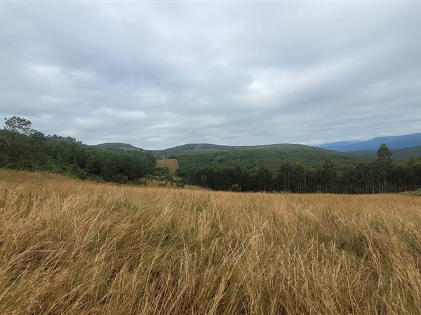 46 ha Farm 46 ha Farm