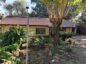 House in Yellowwood Park