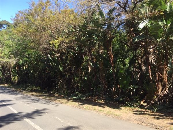 1264 m² Land available in Leisure Bay