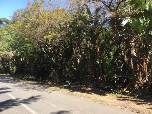 1264 m² Land available in Leisure Bay photo number 1