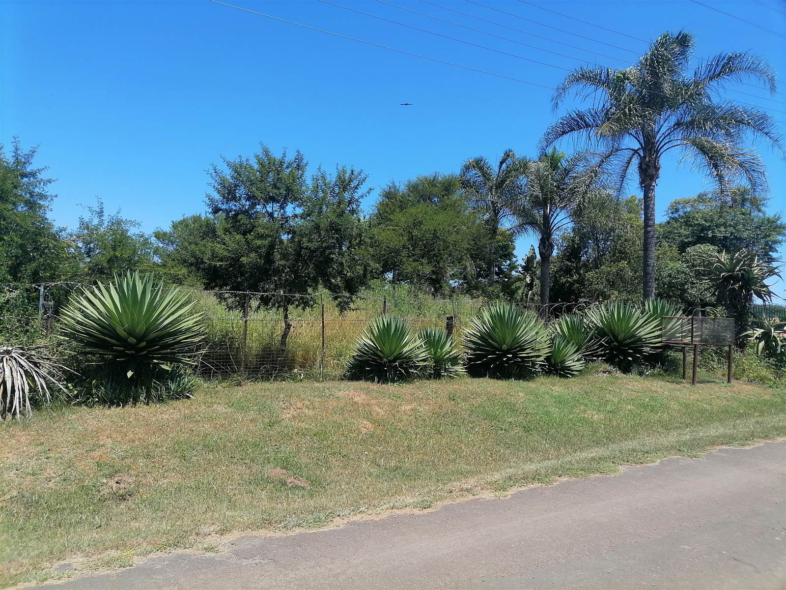 8944 m² Land available in Ashburton photo number 6