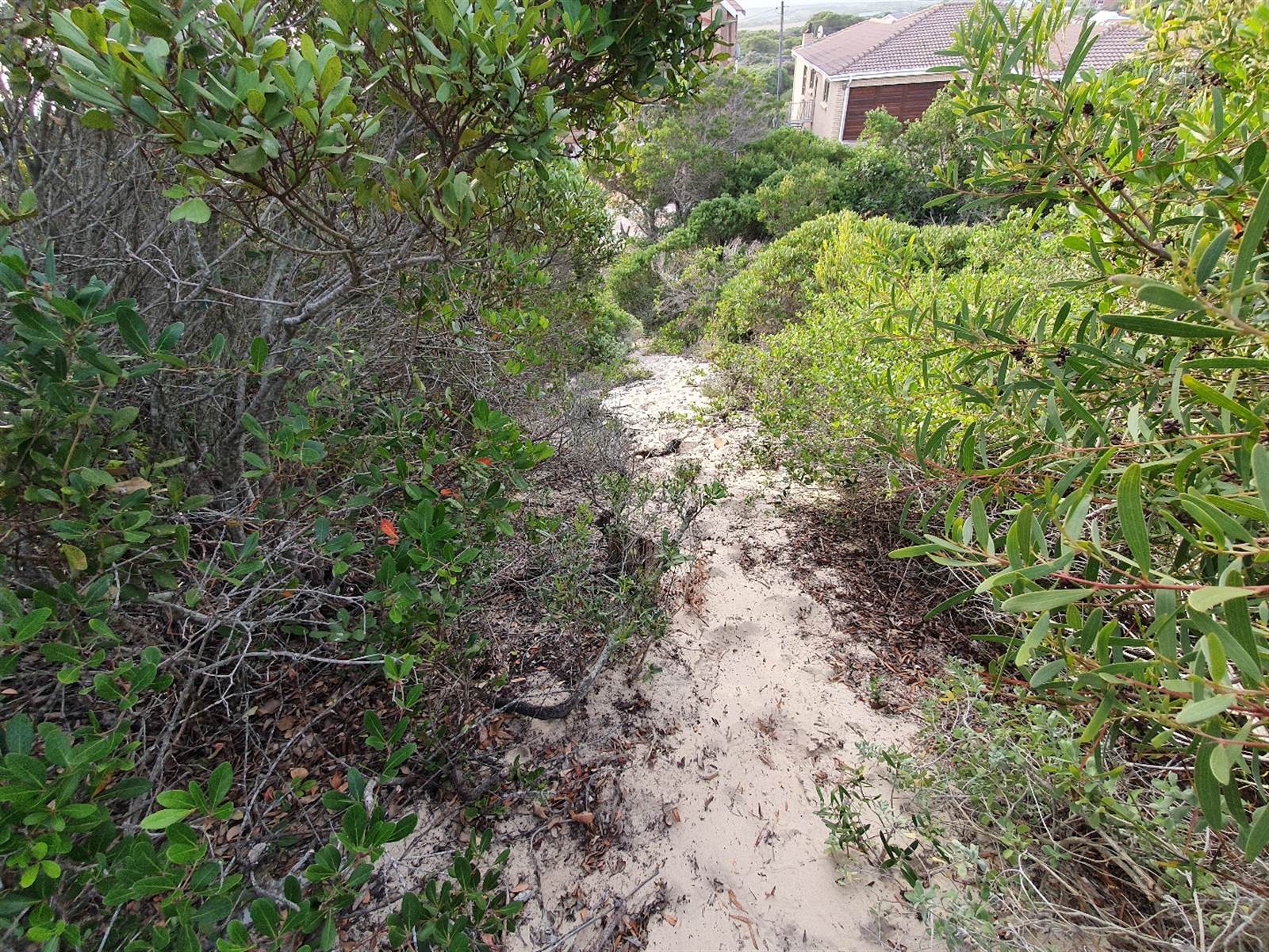 734 m² Land available in Paradise Beach photo number 12