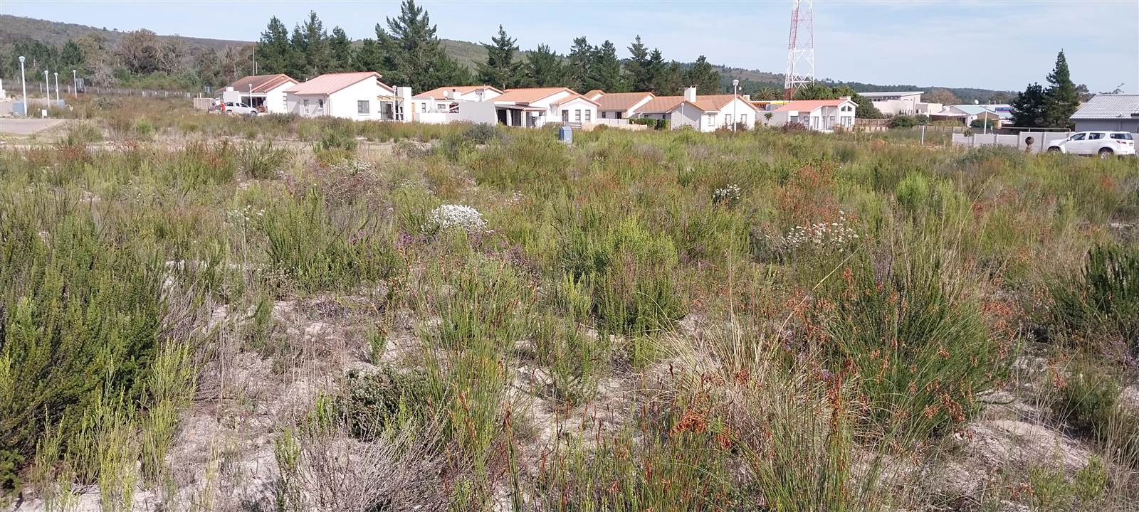 237 m² Land available in Albertinia photo number 1