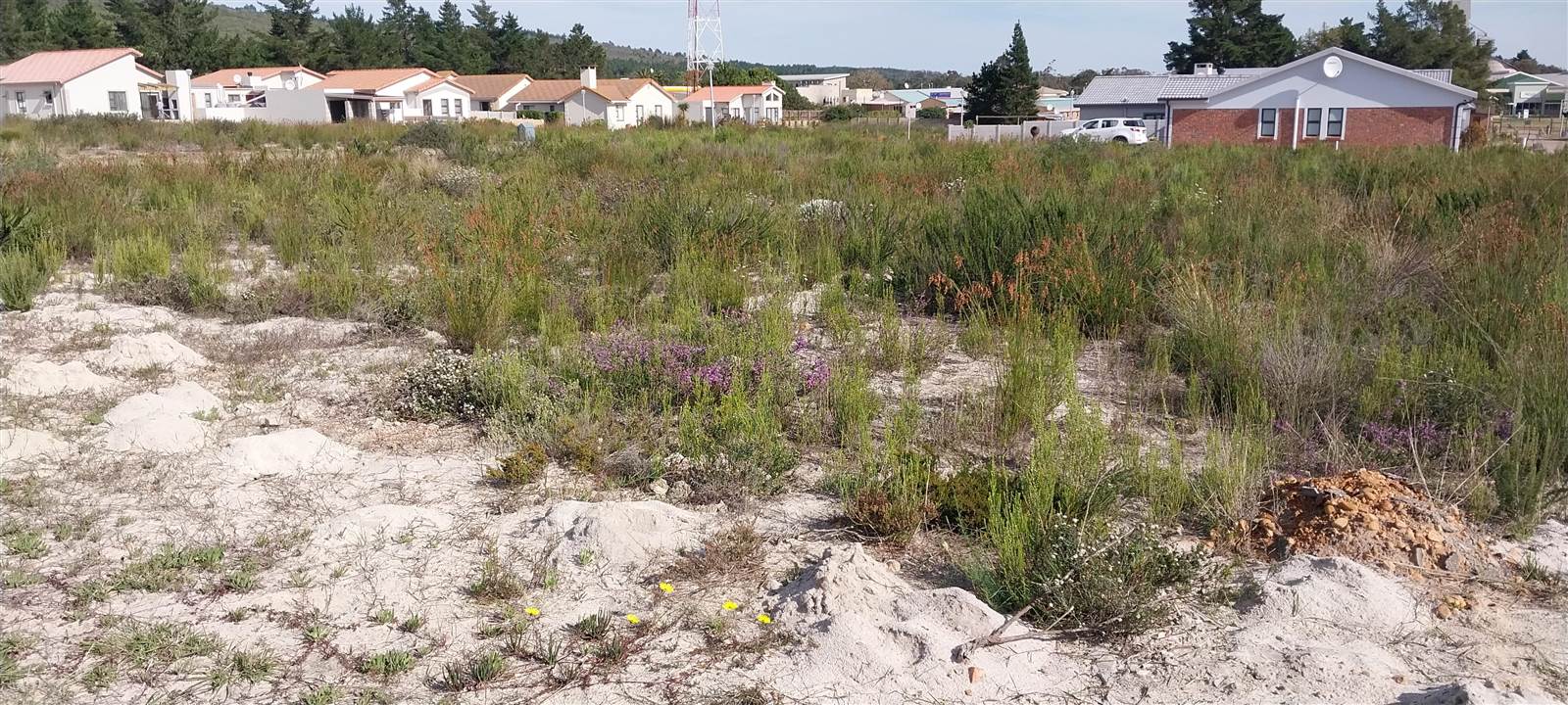 237 m² Land available in Albertinia photo number 4