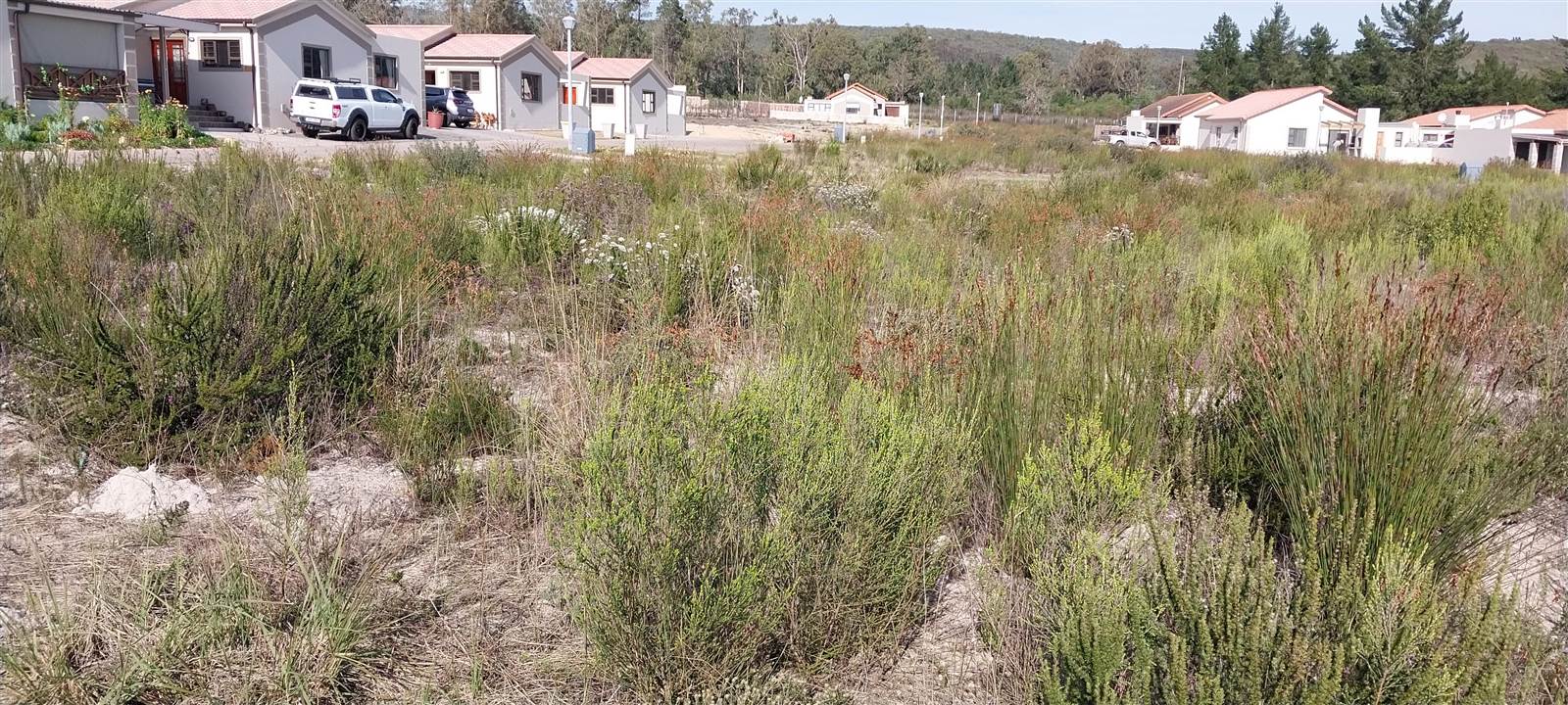 237 m² Land available in Albertinia photo number 12