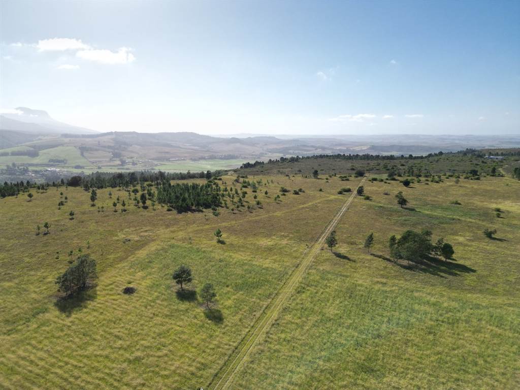 101 ha Farm in Riversdale photo number 14