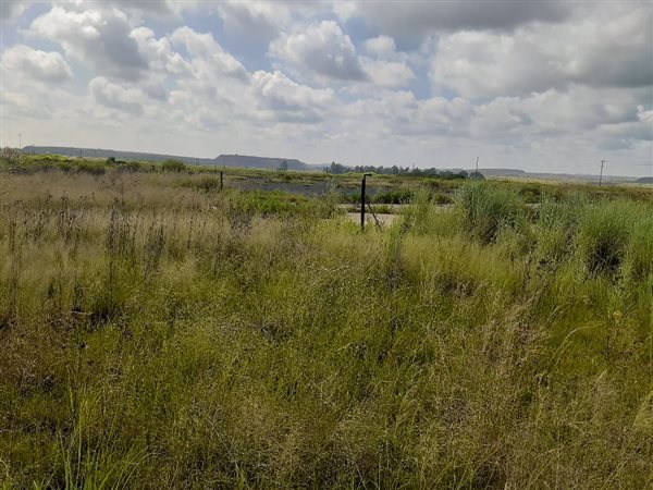 5 ha Farm