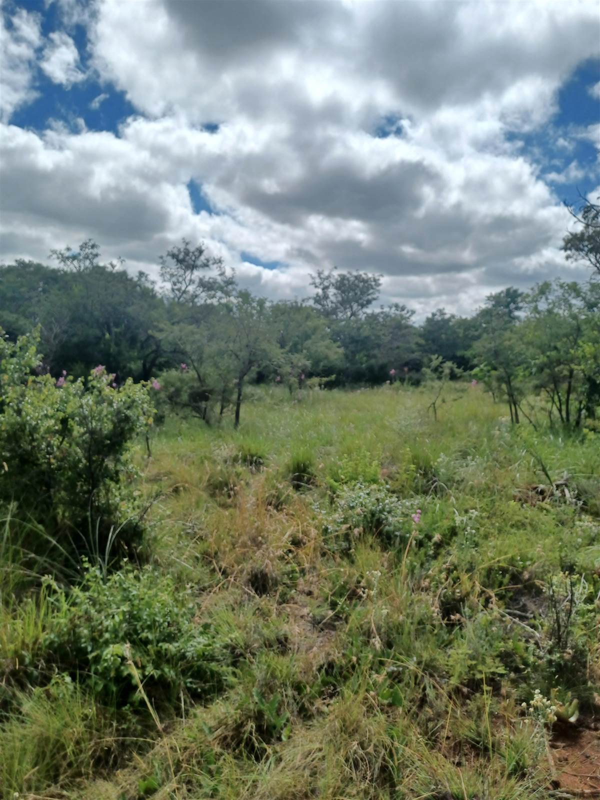 5.2 ha Land available in Rayton photo number 1