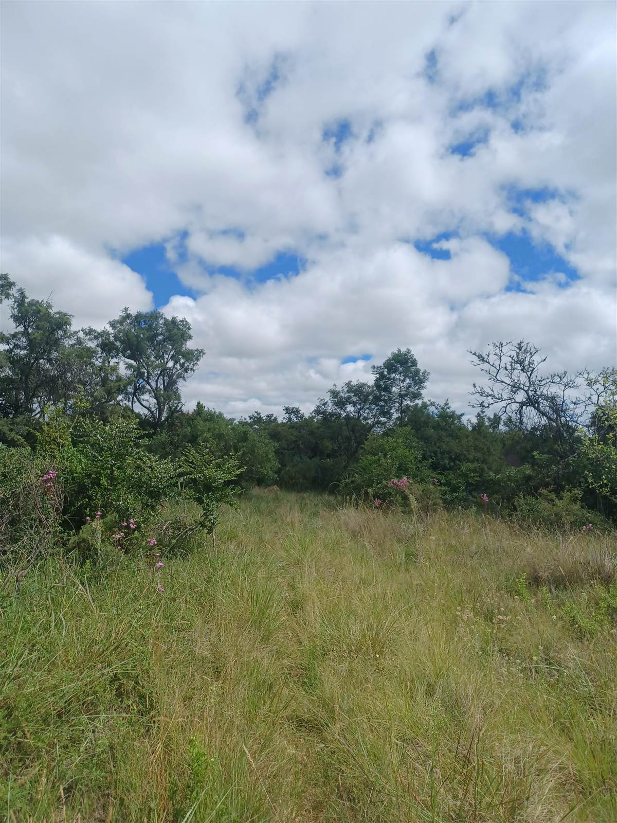 5.2 ha Land available in Rayton photo number 9