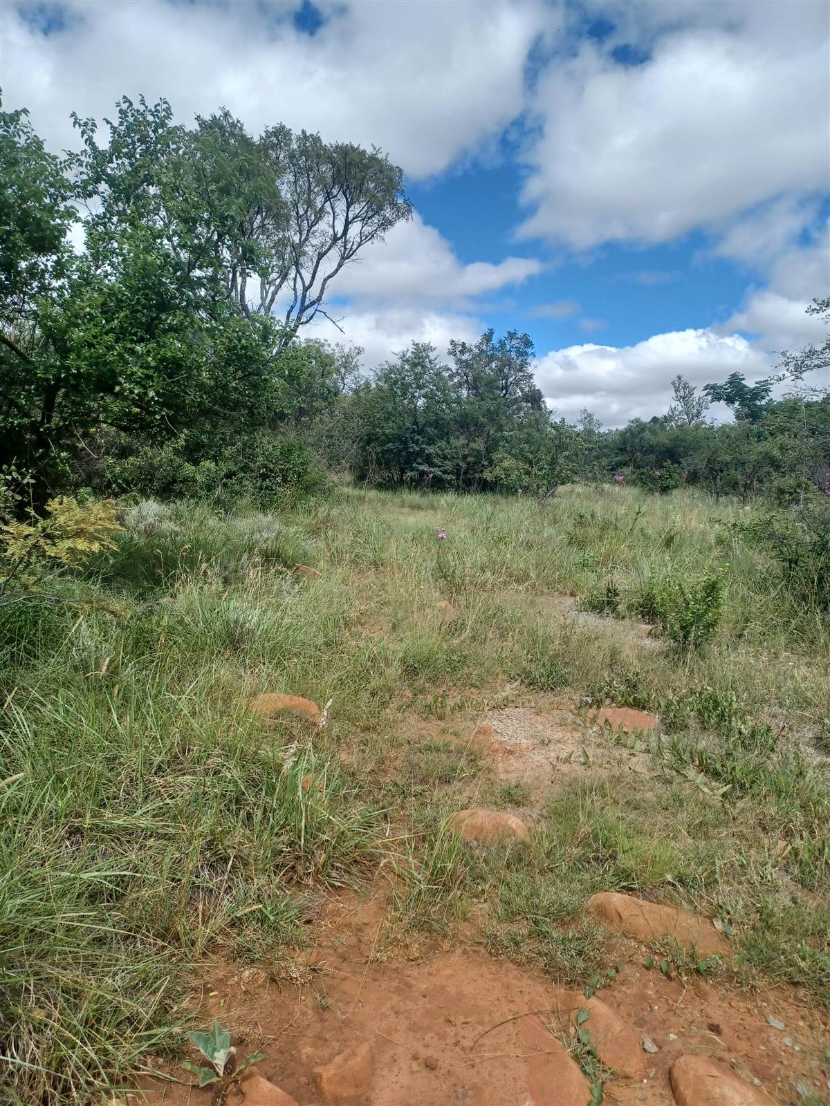 5.2 ha Land available in Rayton photo number 12