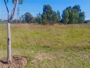 4990 m² Land available in Blue Hills Equestrian Estate