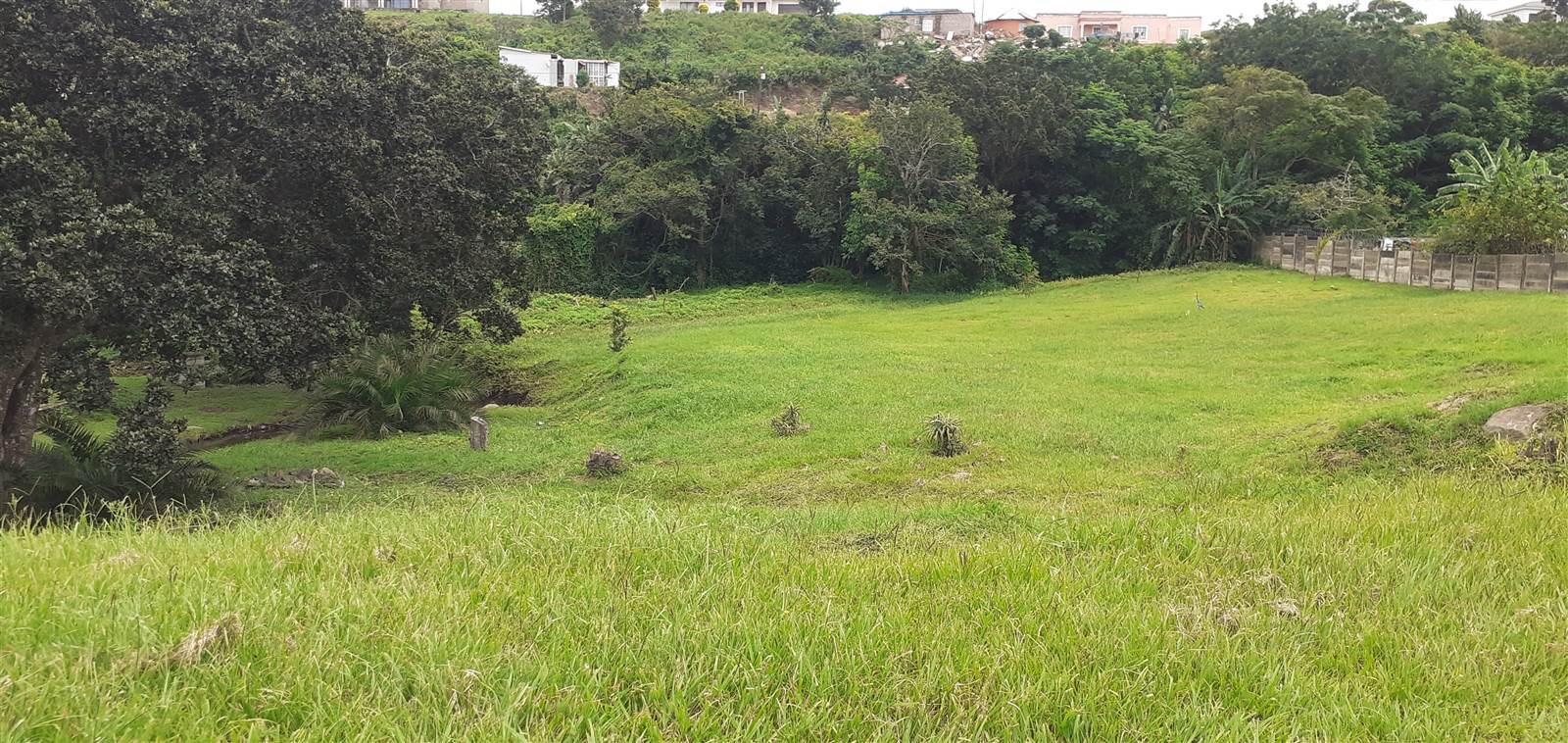 1189 m² Land available in Doon Heights photo number 6
