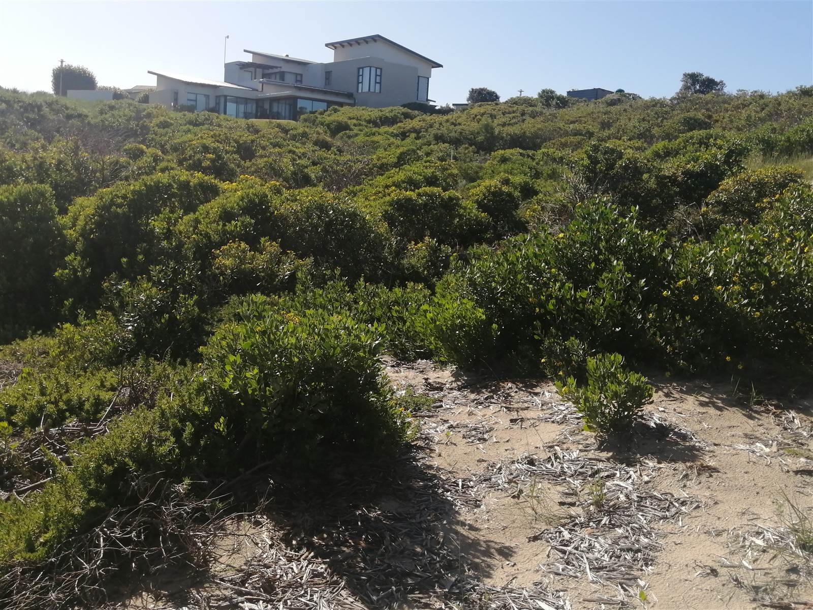 789 m² Land available in Stilbaai photo number 11