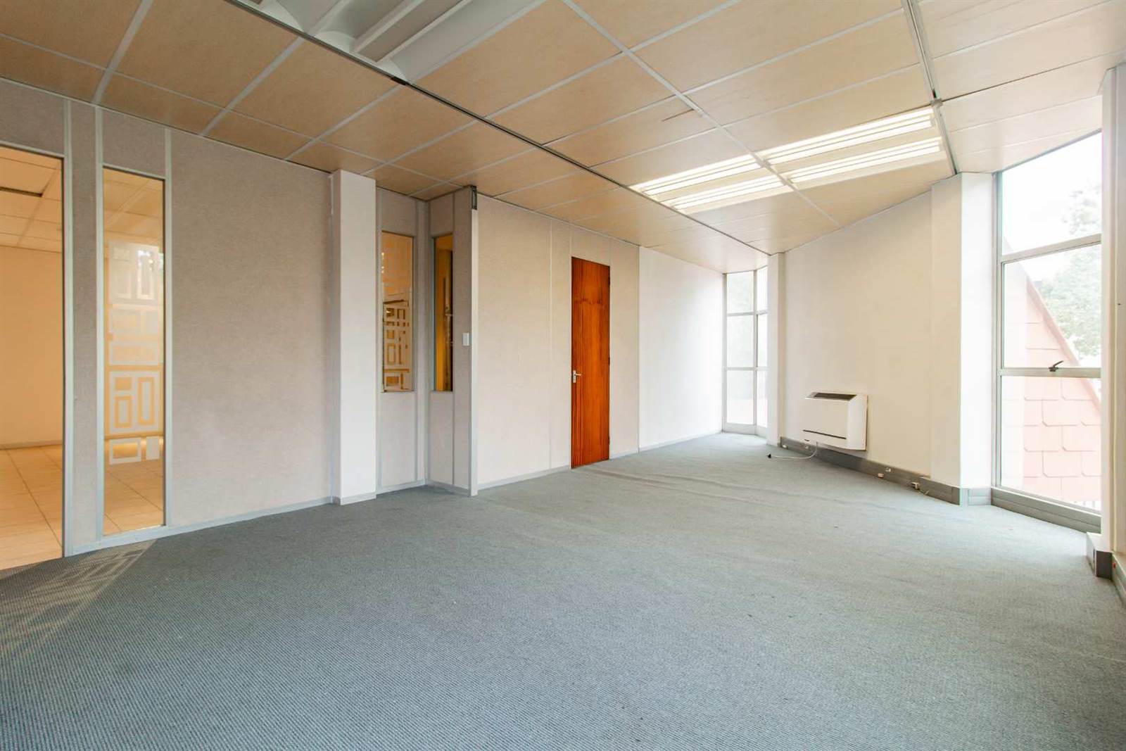 12141  m² Commercial space in Albertville photo number 17