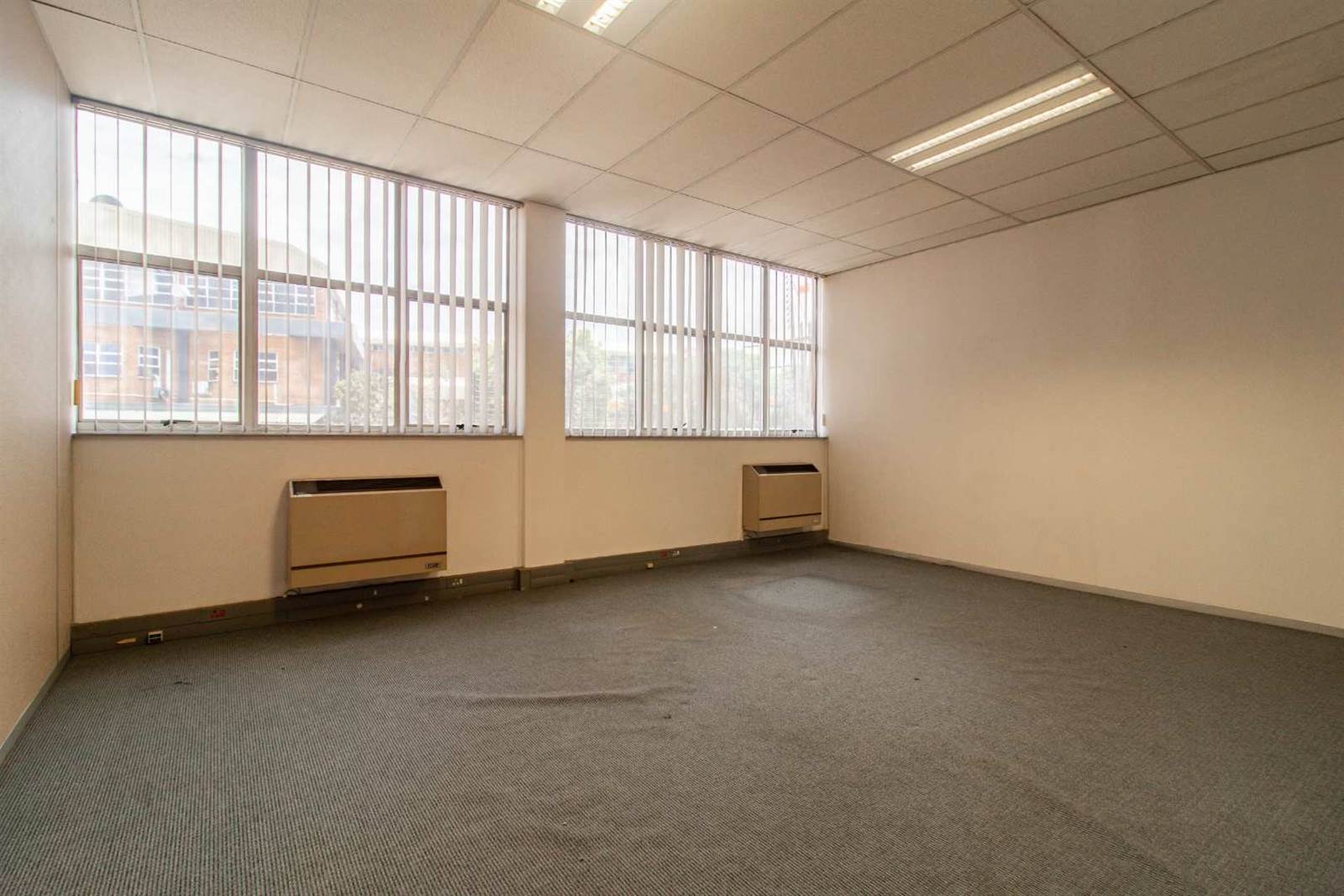12141  m² Commercial space in Albertville photo number 19