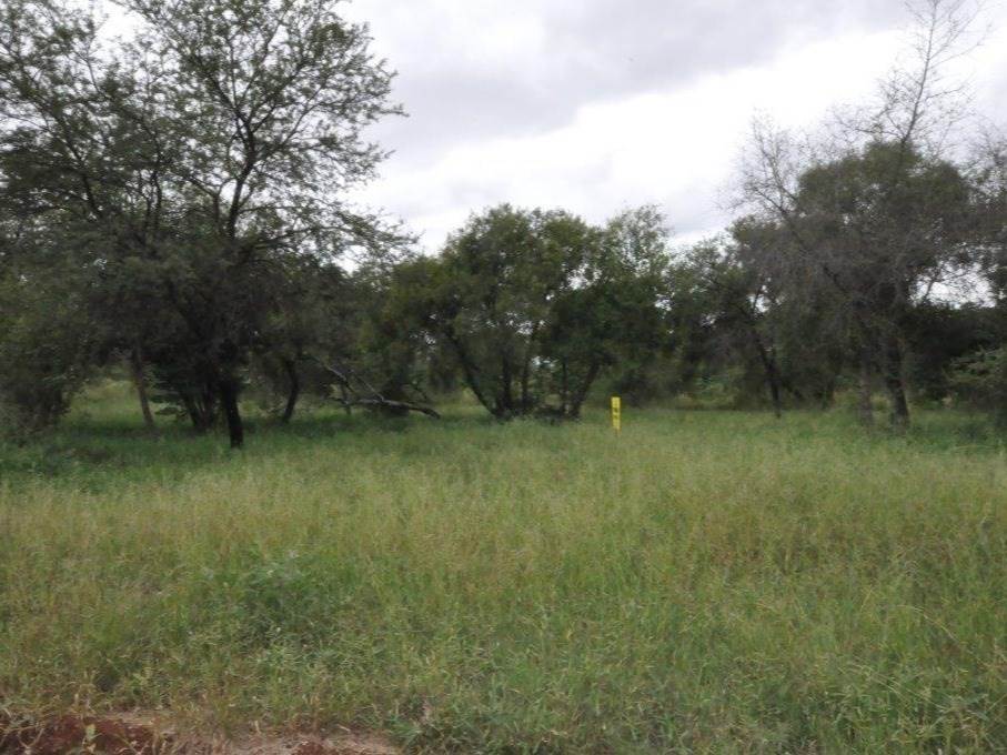 799 m² Land available in Bela-Bela (Warmbaths) photo number 6
