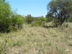 3 ha Land available in Buffelsdrift AH