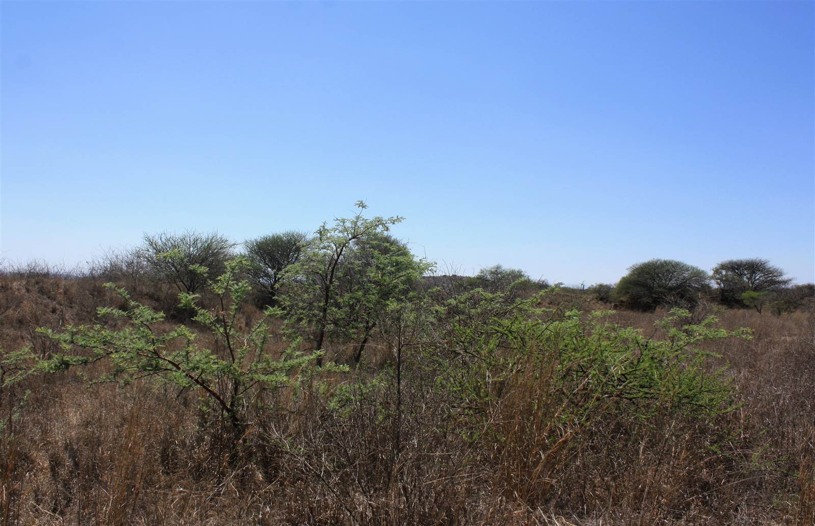 8.5 ha Smallholding in Polokwane Central photo number 6