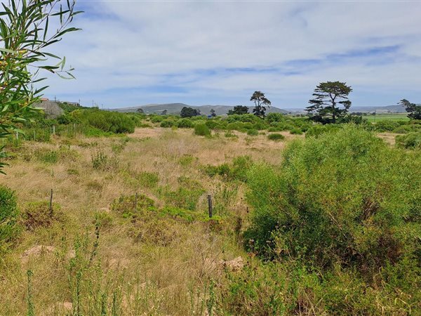 461 m² Land available in Reebok