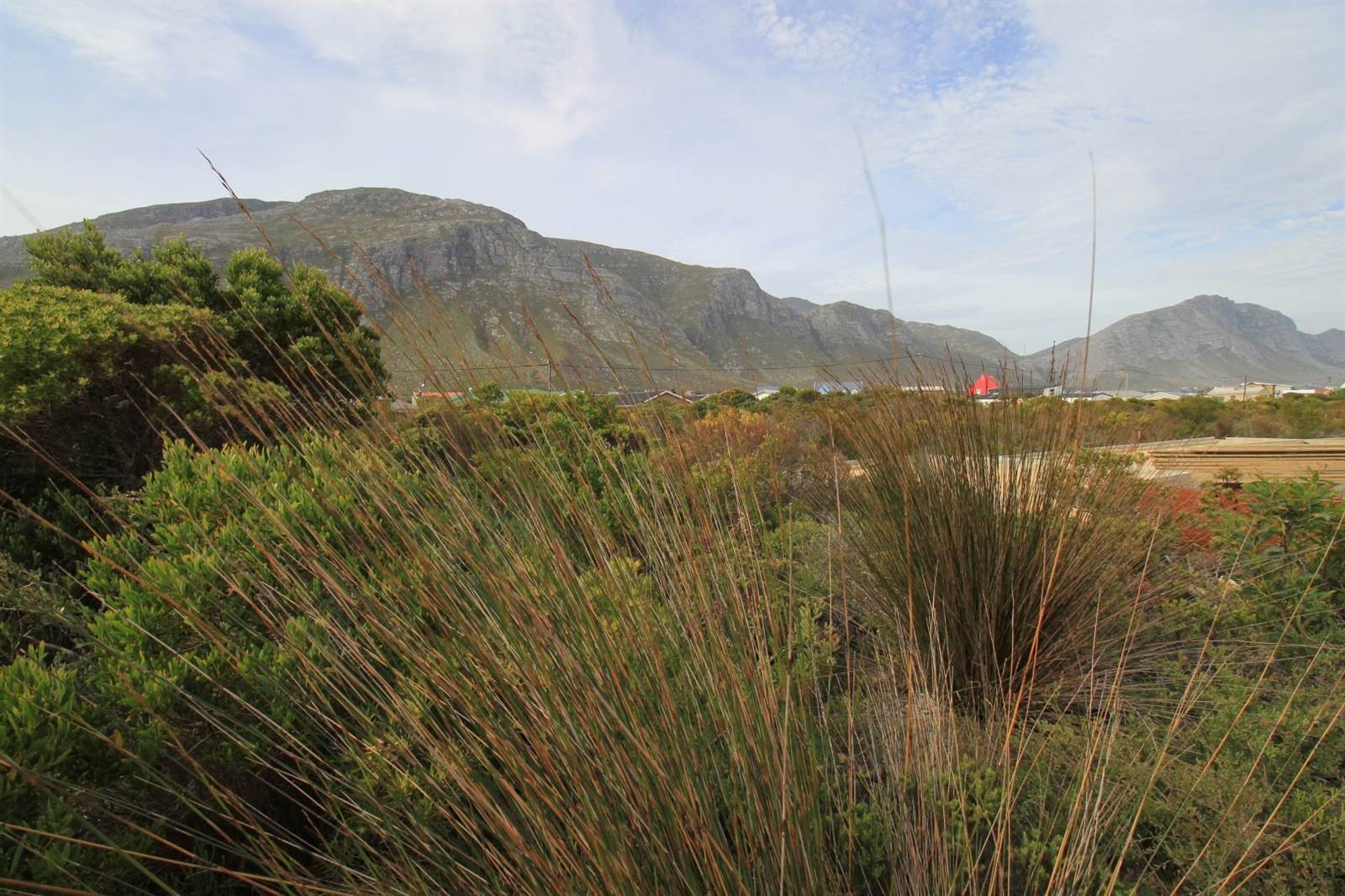 800 m² Land available in Bettys Bay photo number 4