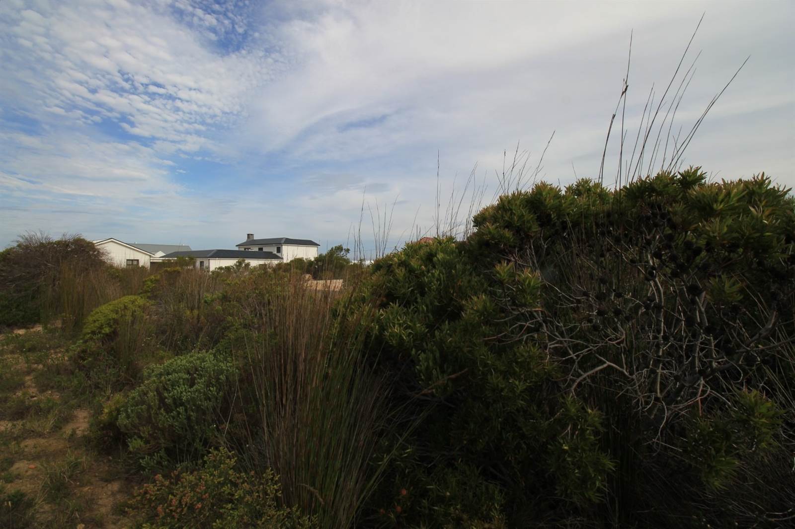 800 m² Land available in Bettys Bay photo number 17