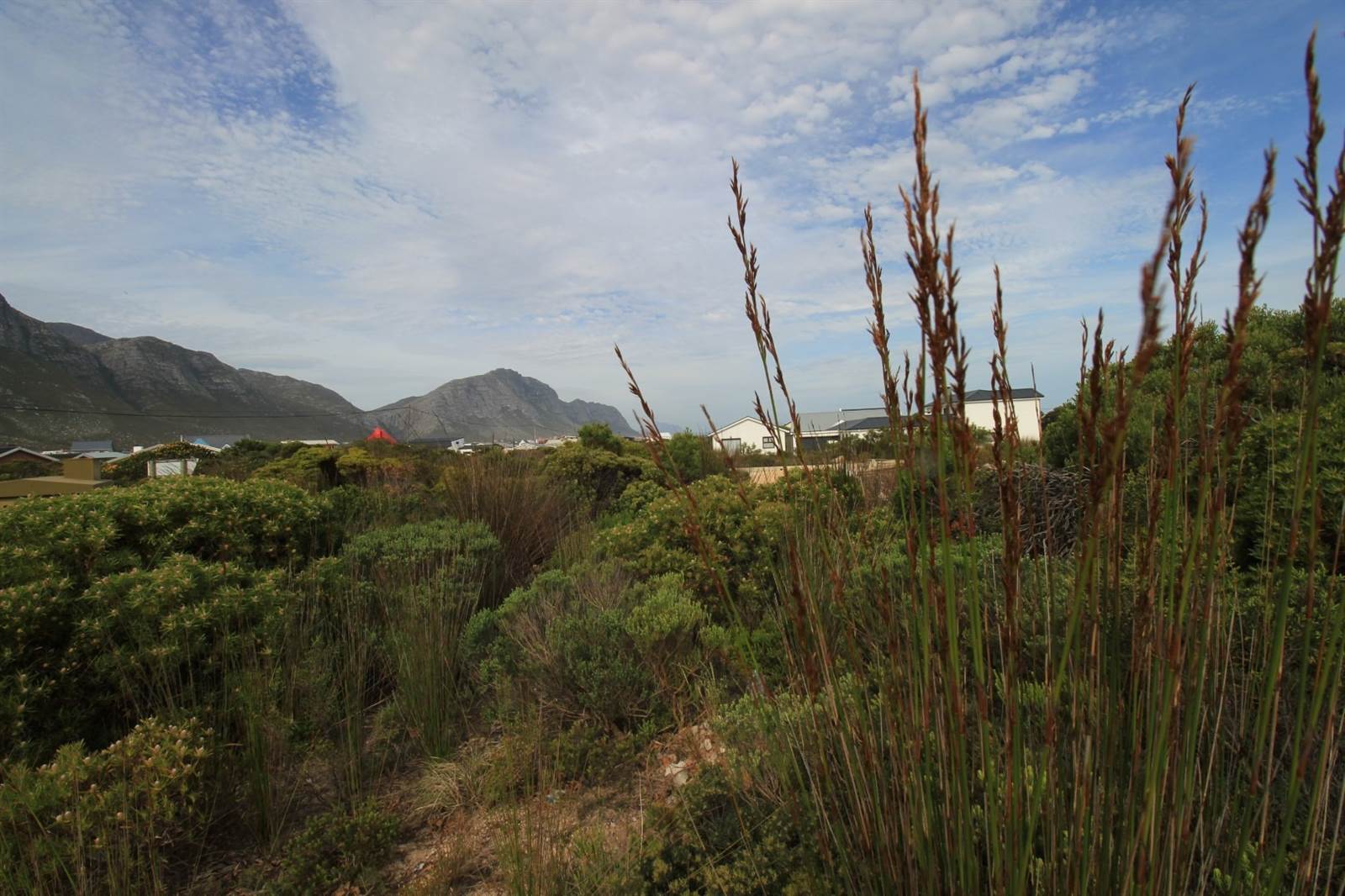 800 m² Land available in Bettys Bay photo number 1