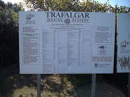 1229 m² Land available in Trafalgar photo number 13