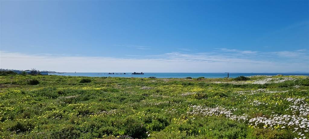 299 m² Land available in St Helena Views photo number 15