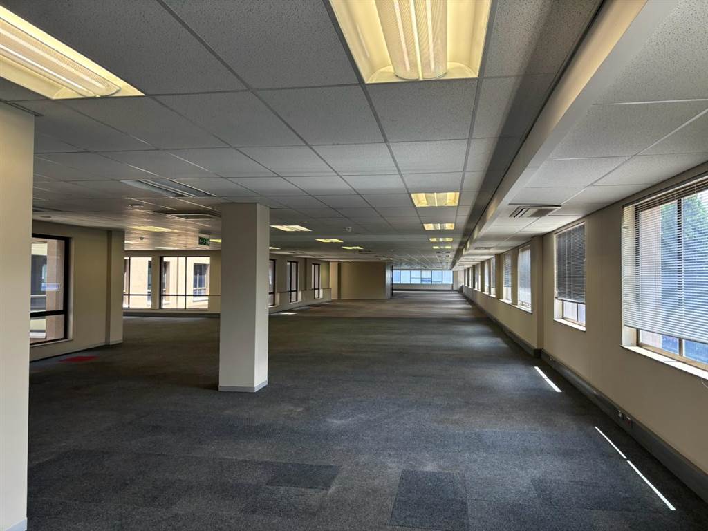 1246  m² Commercial space in Parktown photo number 6