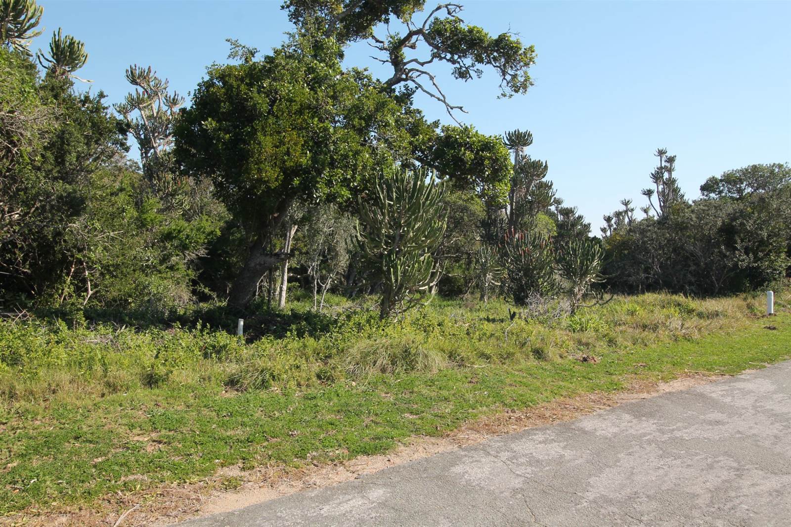 713 m² Land available in Seafield photo number 2