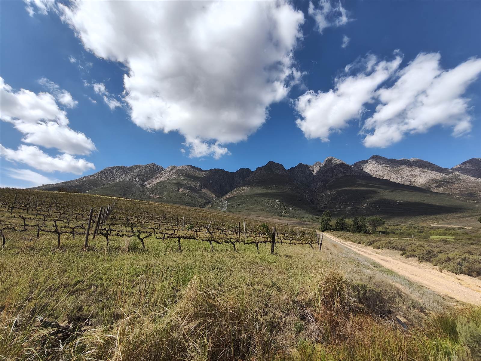 194 ha Farm in Tulbagh photo number 18