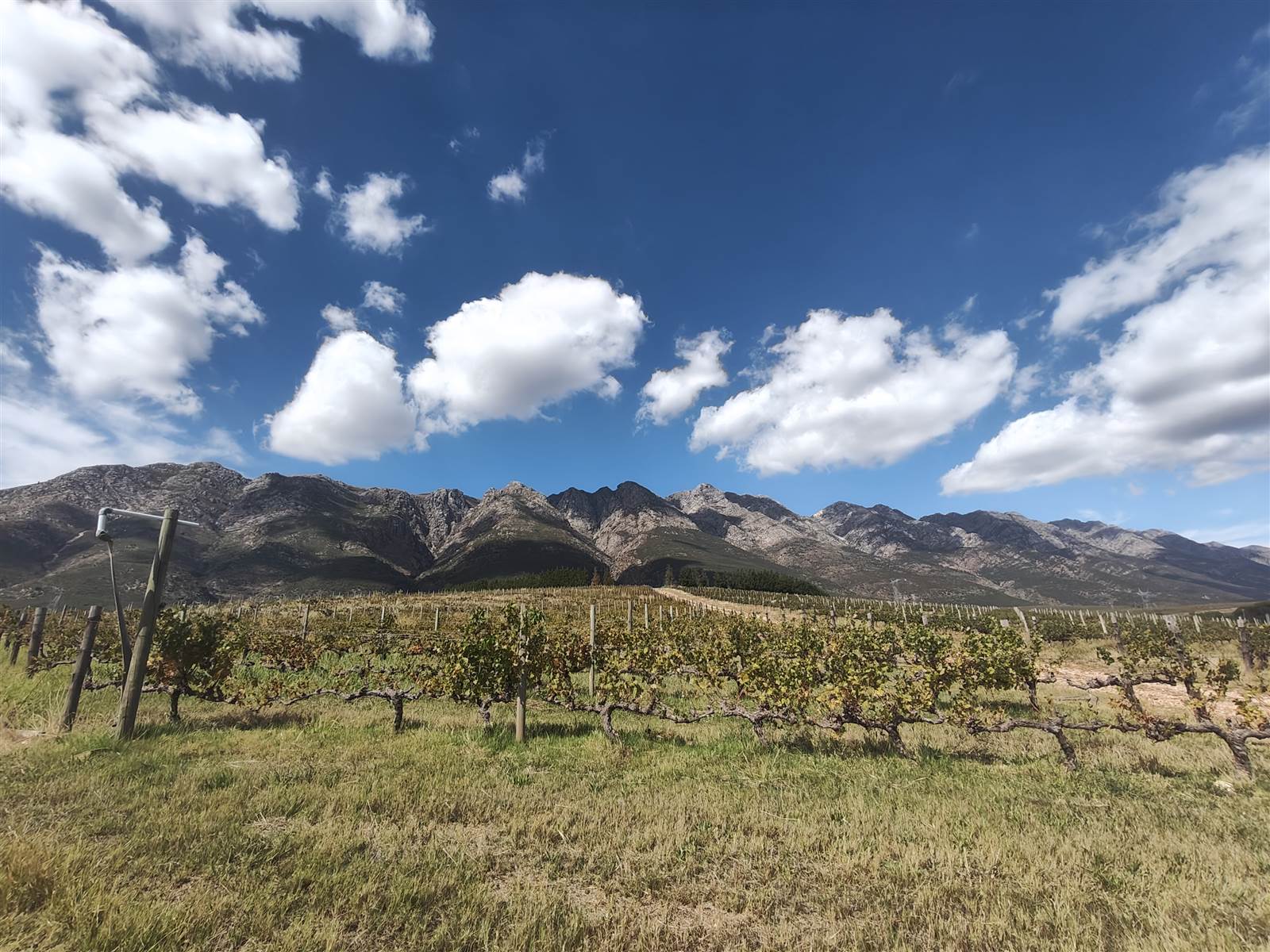 194 ha Farm in Tulbagh photo number 16