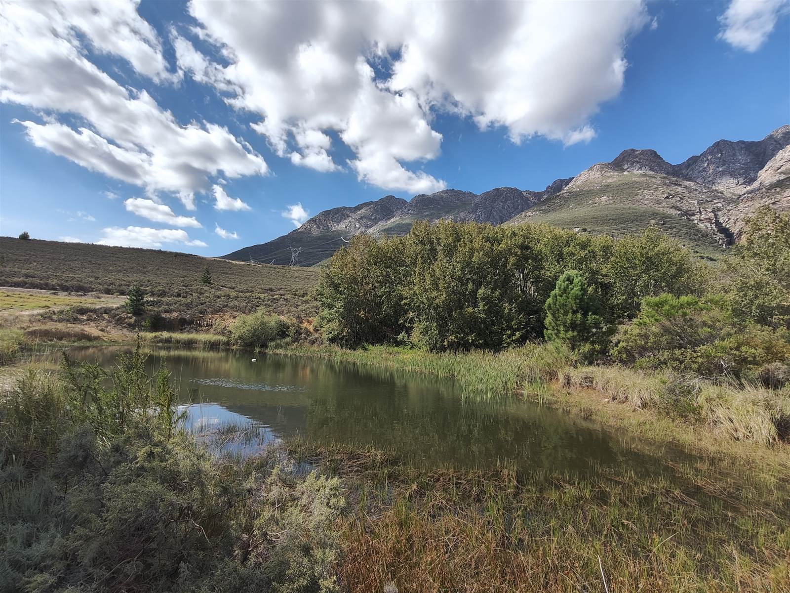 194 ha Farm in Tulbagh photo number 20