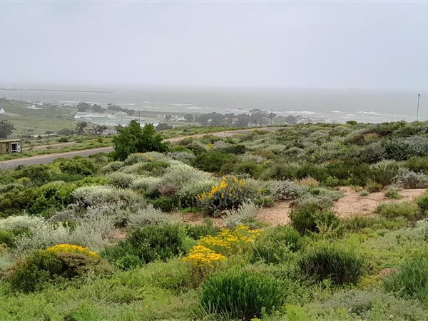 377 m² Land available in St Helena Bay