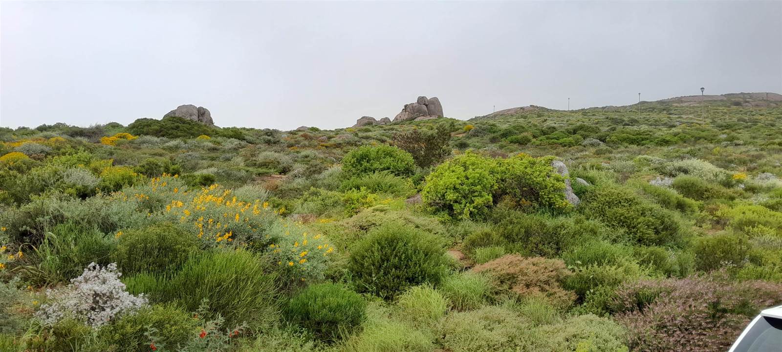 377 m² Land available in St Helena Bay photo number 4