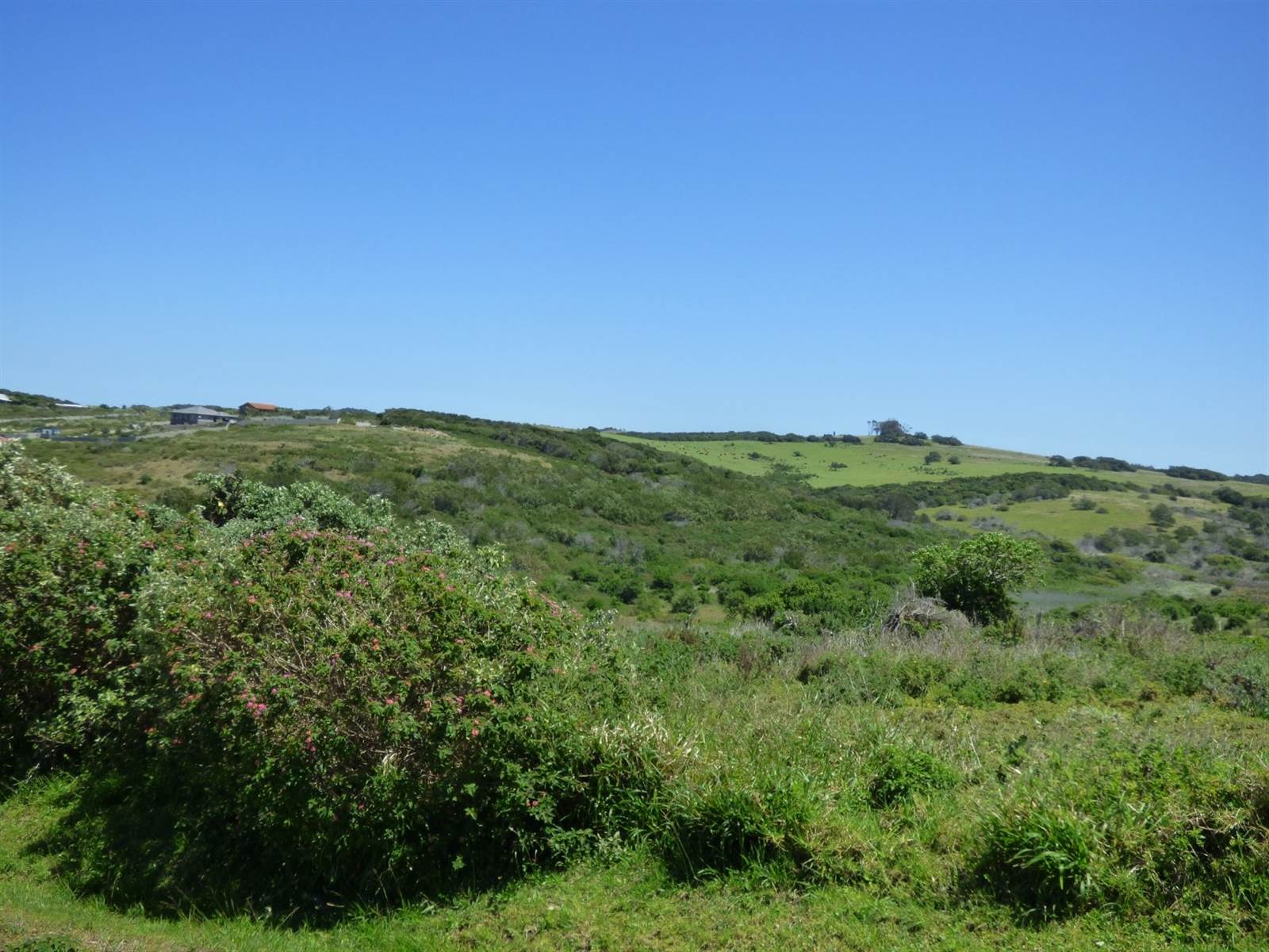 966 m² Land available in Port Alfred photo number 7
