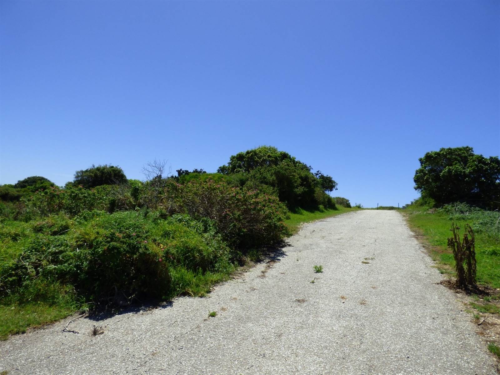 966 m² Land available in Port Alfred photo number 11